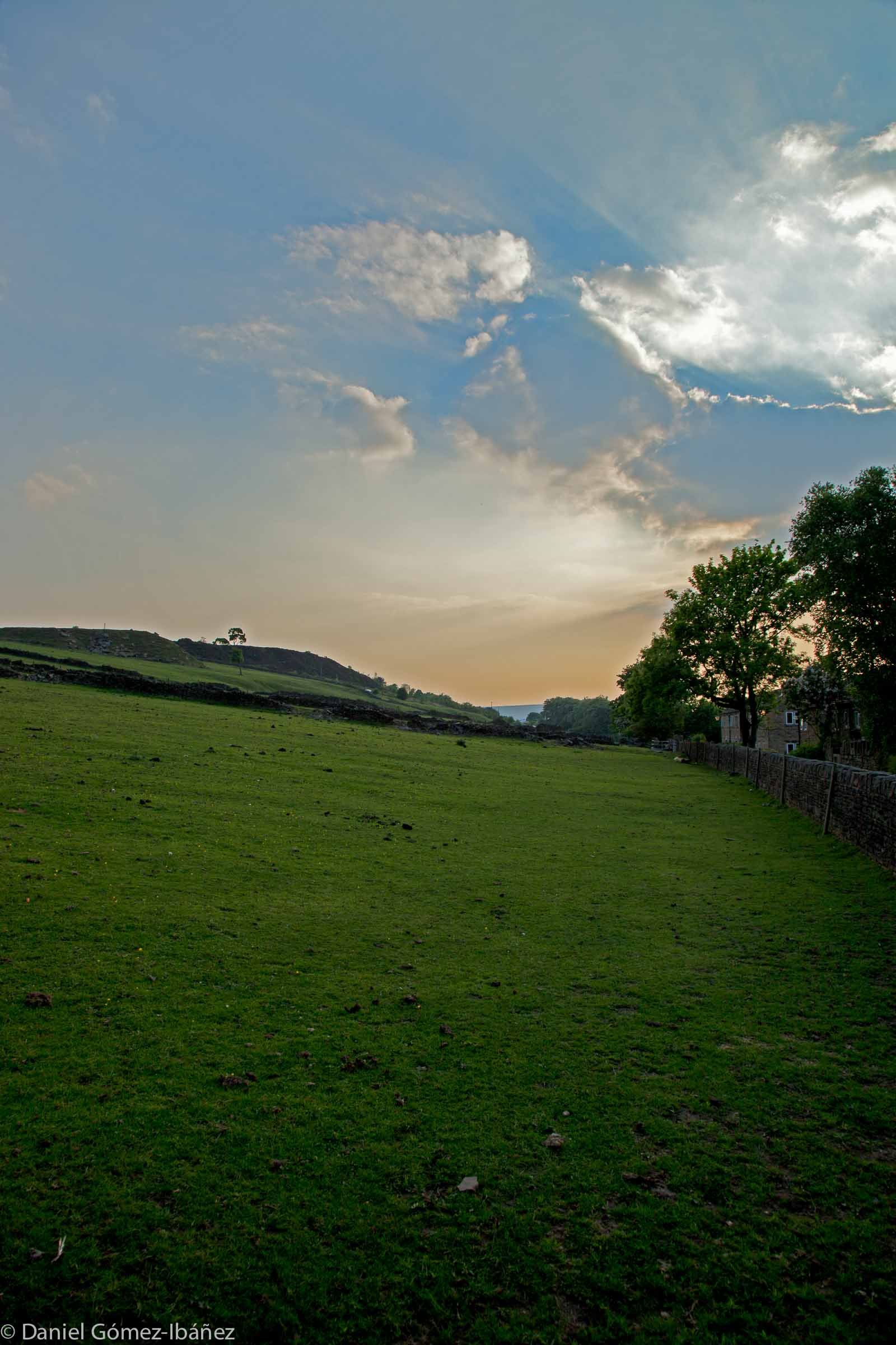 The moor behind the Brontë family's parsonage [Haworth, Yorkshire, UK, 2012]
