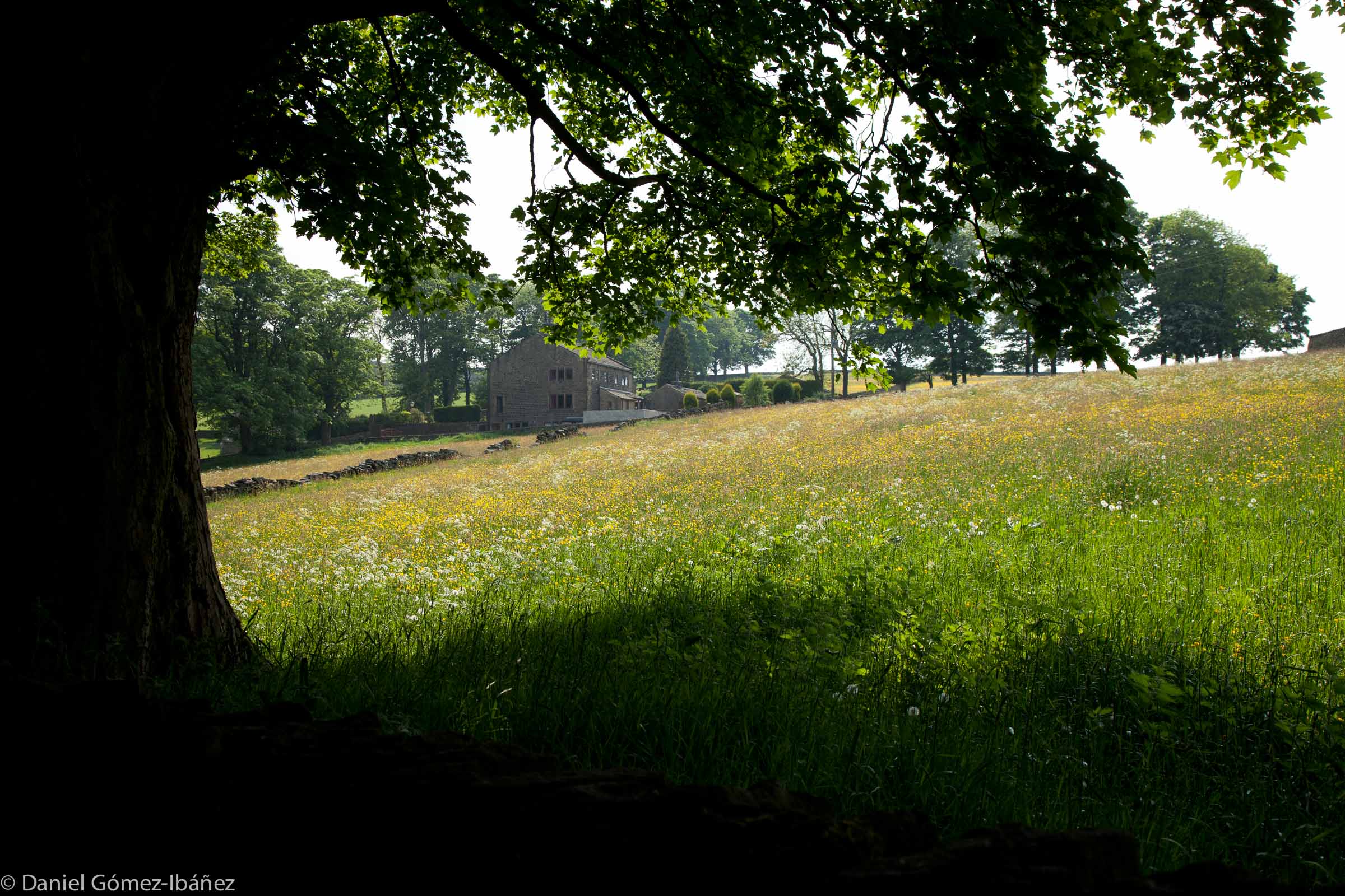 Balcony House, looking toward Penistone Hill [Haworth, Yorkshire, England, 2010]