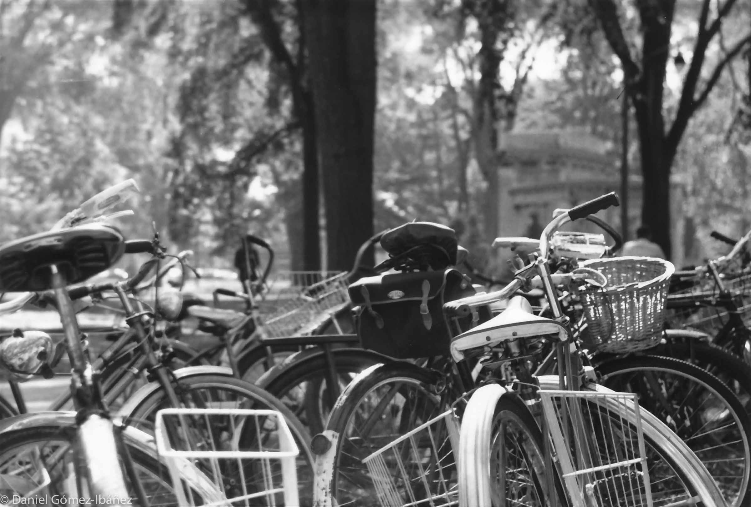 Oberlin, 35 miles southwest of Cleveland, probably had more bicycles per capita than most towns because the college prohibited student ownership of cars…